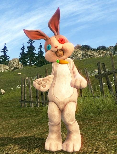 Vindictus-Bunny-costume.jpg