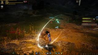 Black Desert Review screenshot (2)