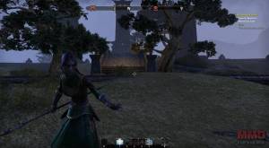Elder Scrolls Online screenshot (21)
