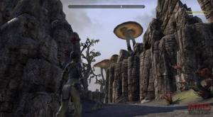 Elder Scrolls Online screenshot (4)