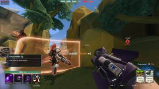 Paladins closed beta review RW1