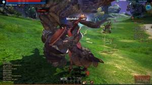 TERA screenshots (21)