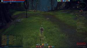 TERA screenshots (29)