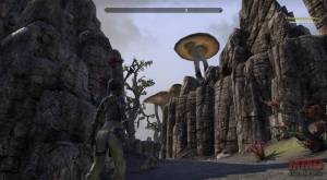 TESO screenshot (4)