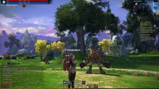 TOP 10 MMORPG May - TERA screenshots (18) copia_2