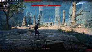 Vindictus Review RW8